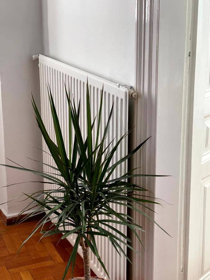 Apartament Η Ελπίδα Και Η Γιάννα Ξεκίνησαν Ένα Χώρο Cute Wolos Zewnętrze zdjęcie