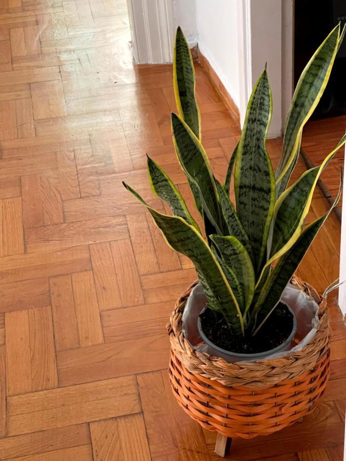 Apartament Η Ελπίδα Και Η Γιάννα Ξεκίνησαν Ένα Χώρο Cute Wolos Zewnętrze zdjęcie