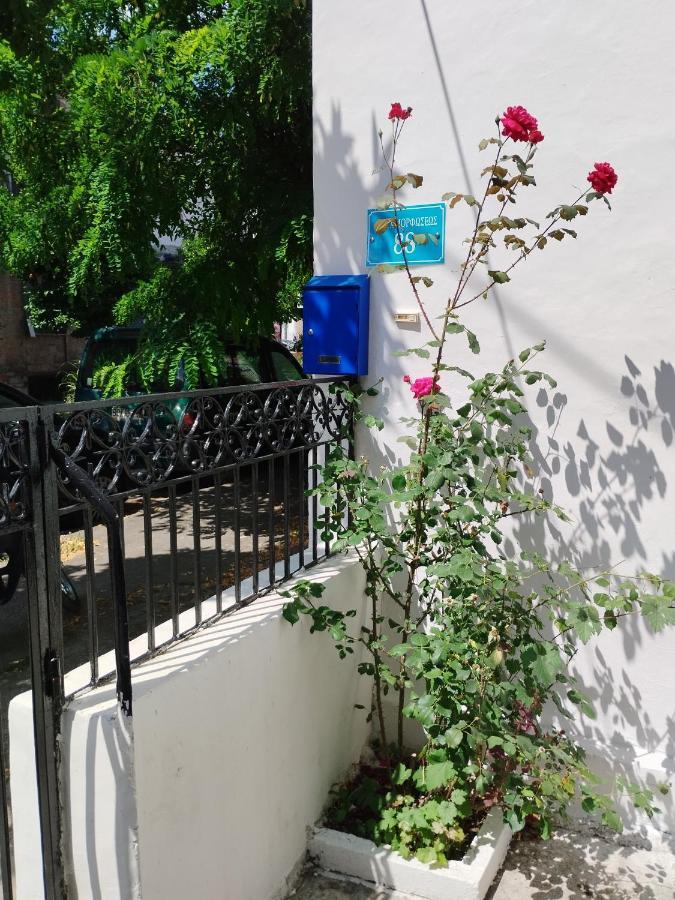 Apartament Η Ελπίδα Και Η Γιάννα Ξεκίνησαν Ένα Χώρο Cute Wolos Zewnętrze zdjęcie