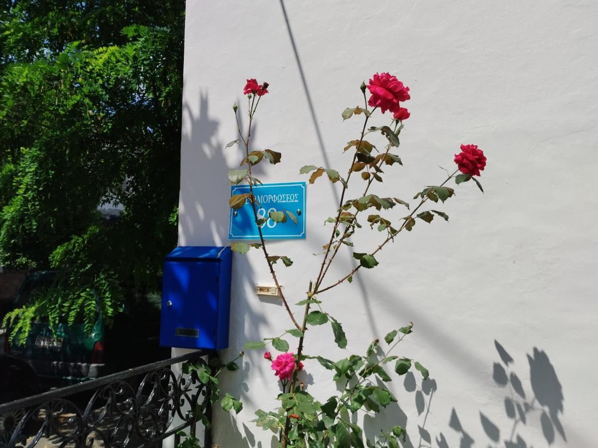 Apartament Η Ελπίδα Και Η Γιάννα Ξεκίνησαν Ένα Χώρο Cute Wolos Zewnętrze zdjęcie