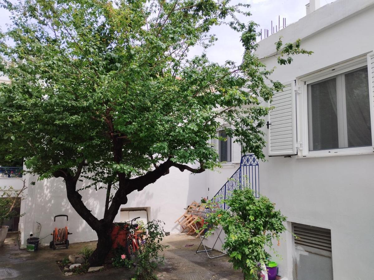 Apartament Η Ελπίδα Και Η Γιάννα Ξεκίνησαν Ένα Χώρο Cute Wolos Zewnętrze zdjęcie